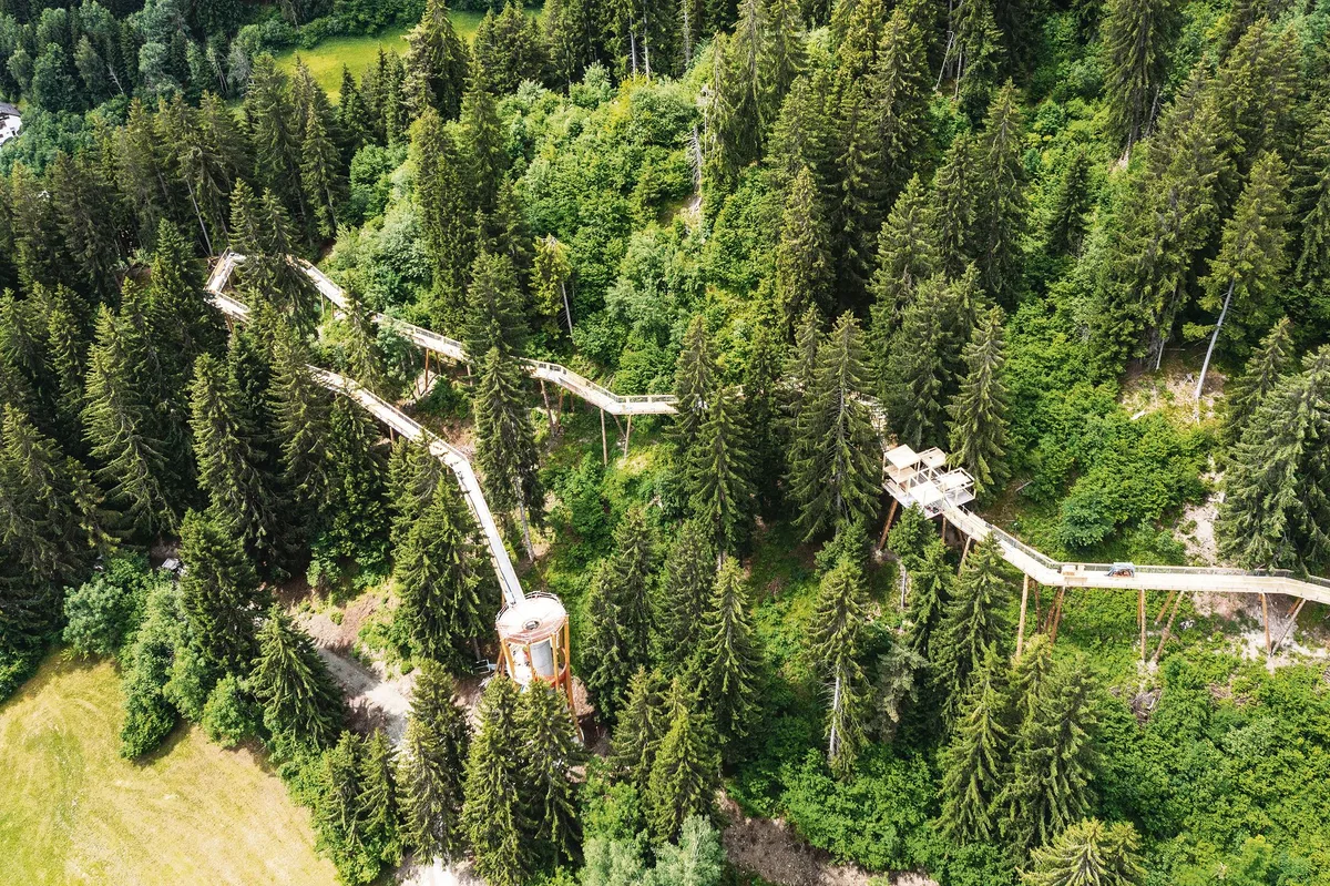 c89bf1ea0c2107379f99de9519ad4363191d59d9 Üer 1,56 Kilometer schlängelt sich der neue Baumwipfelpfad «Senda dil Dragun» in Laax durch den Wald. (Bilder Philipp Ruggli)