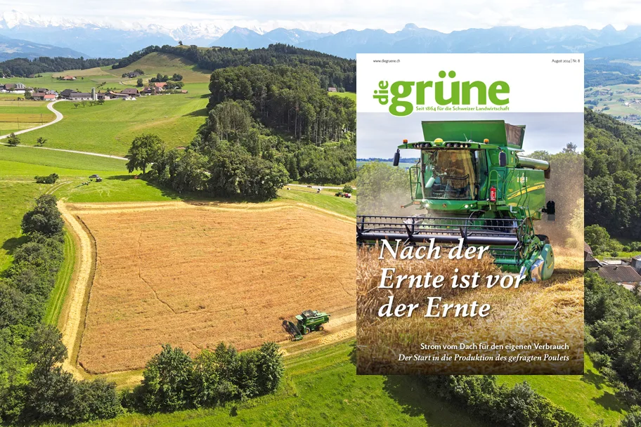 «die grüne» im August 2024 – Nach der Ernte ist vor der Ernte