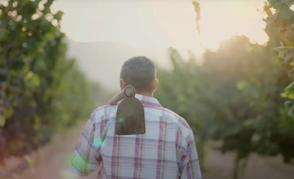 video-obst-gemuese-kampagne Dieses Video soll Europäer für europäisches Obst und Gemüse begeistern
