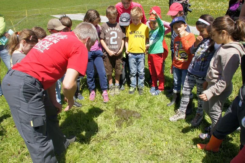 bacb8b5b117b11f26b84200f2f930ae8f1cf9b10 Rund 52'000 Kinder konnten 2019 dank SchuB die Schweizer Landwirtschaft hautnah kennenlernen - wie hier zum Beispiel in der Lenzerheide. (Bild lid)