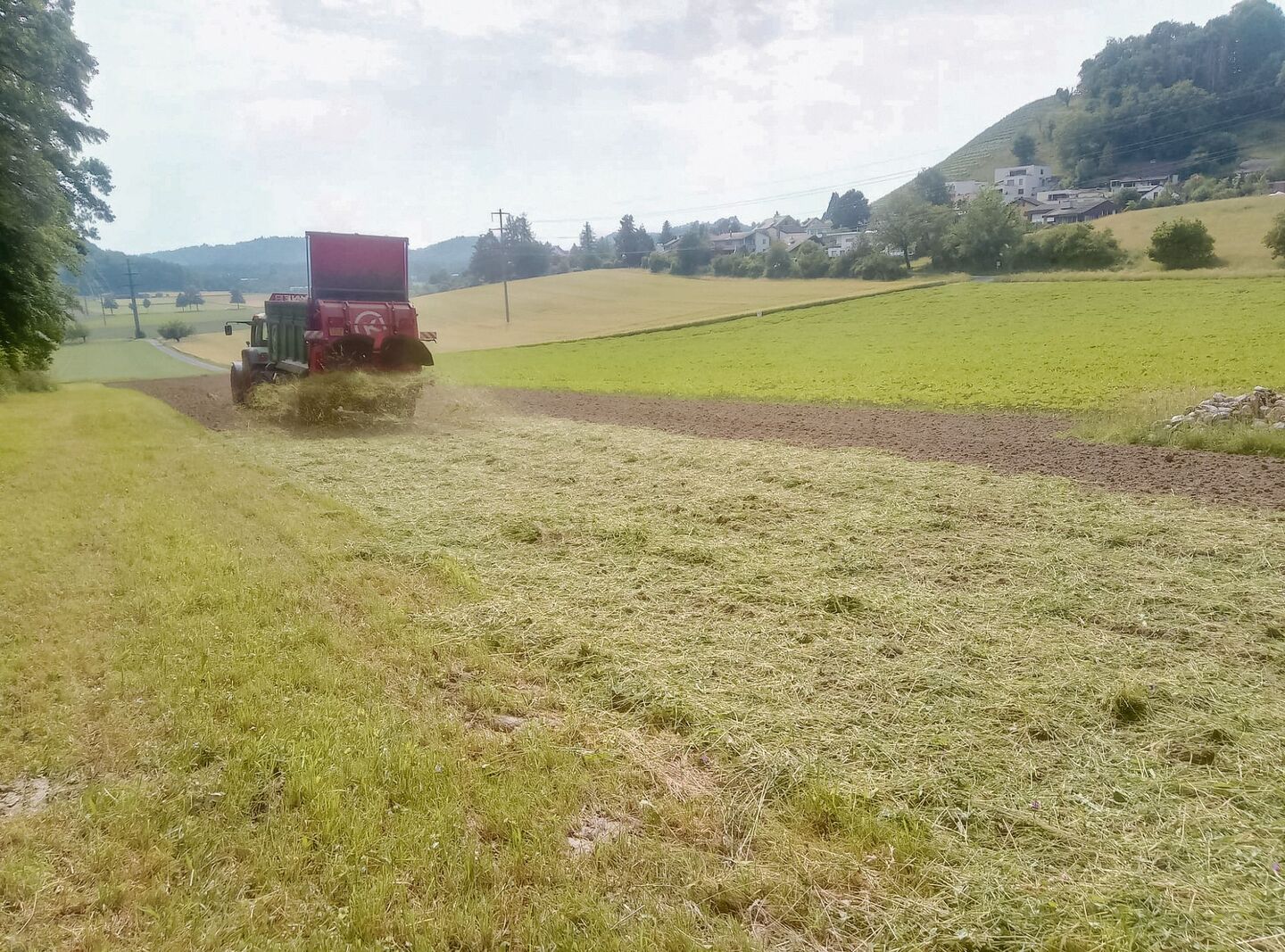 Von Hand oder mit dem Kompoststreuer wird Schnittgut auf die vorbereitete Empfängerfläche ausgebracht. Wichtig ist die gleichmässige Verteilung.