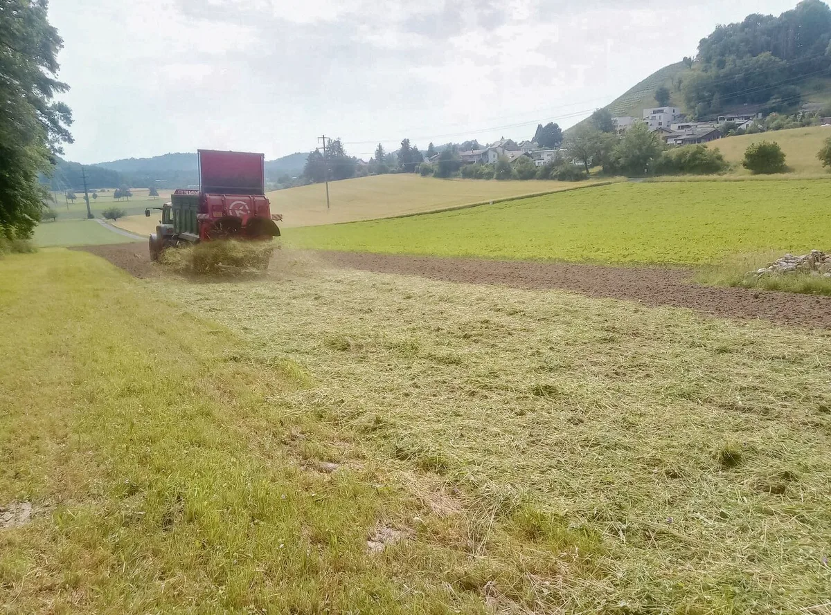 1b0f30030b0068bff009d70f77bc6ddcd95d7e3d2df995eab3e32c2e37b67dc5 Von Hand oder mit dem Kompoststreuer wird Schnittgut auf die vorbereitete Empfängerfläche ausgebracht. Wichtig ist die gleichmässige Verteilung.