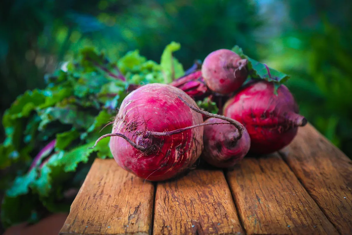 beetroot-gcf7a71f97_1920 Aldi Suisse ist neuer Partner des Vereins Schweizer Regionalprodukte