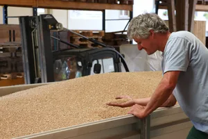 Alfred Vogt ist zufrieden mit seinem Weizen, den er diese Woche geerntet und in der Mühle Scherz abgeliefert hat. Er stellt in diesem Jahr nur einen minimen Unterschied zwischen herbizidfrei angebautem und behandeltem Weizen fest. (Bild Ruth Aerni)