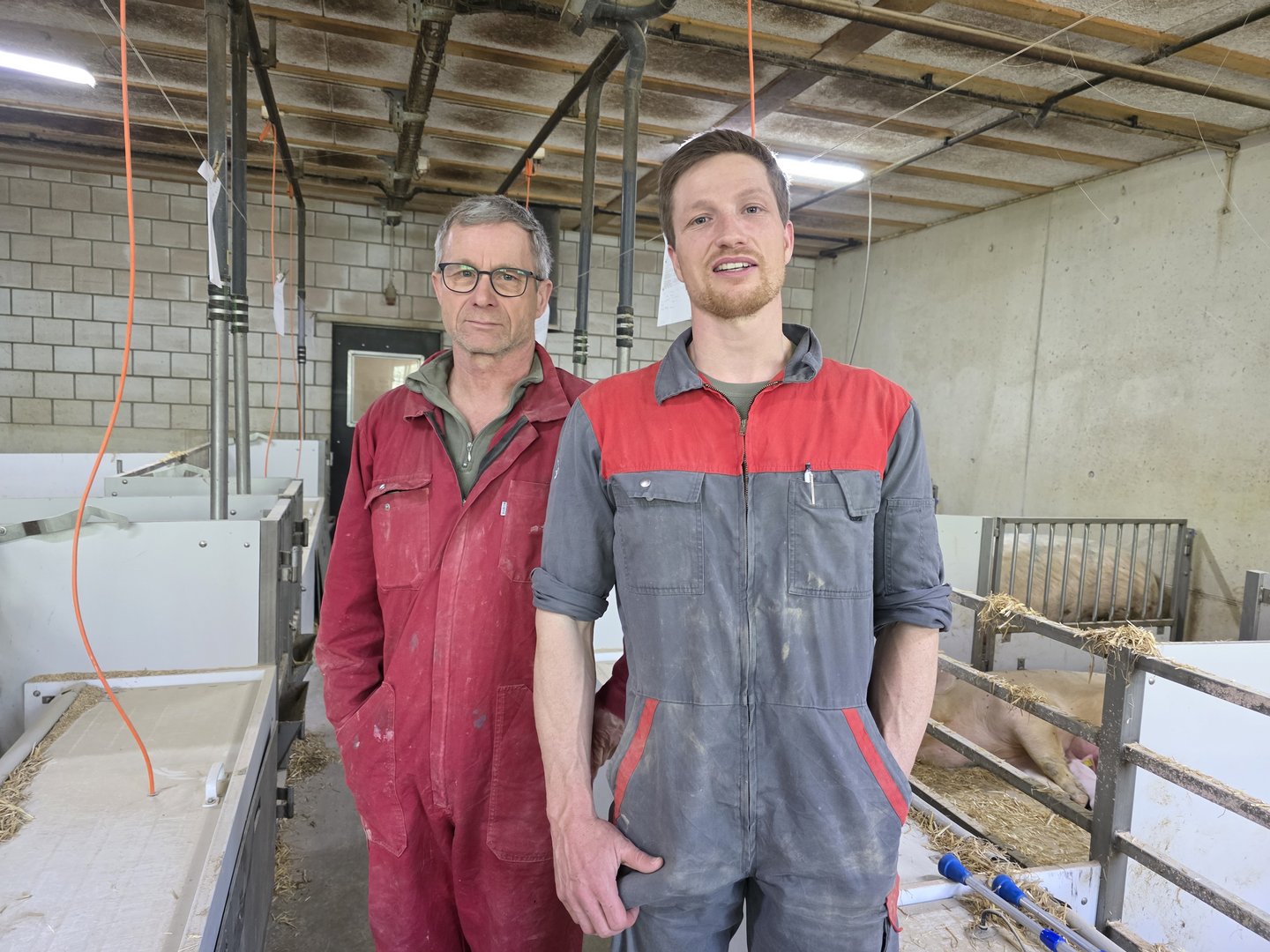 Suisseporcs-Präsident am Pranger: Besuch bei Bernhards in Alchenstorf