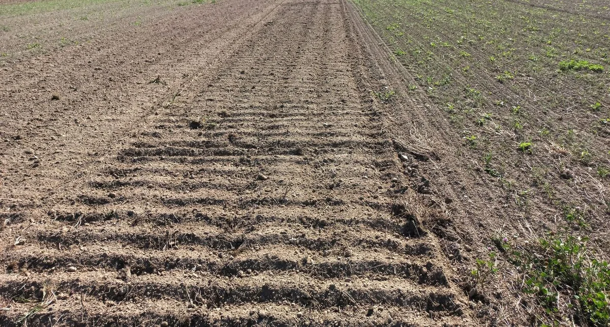 Eine Schwarzbrache, auf der die Spuren der Bodenbearbeitung in Form von Rillen zu sehen sind.