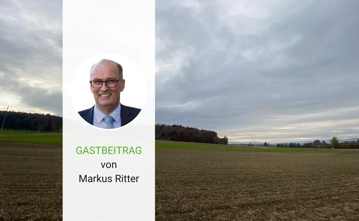 Artikel_Gastbeitrag_BauZ_RitterRueck War es ein gutes Jahr?