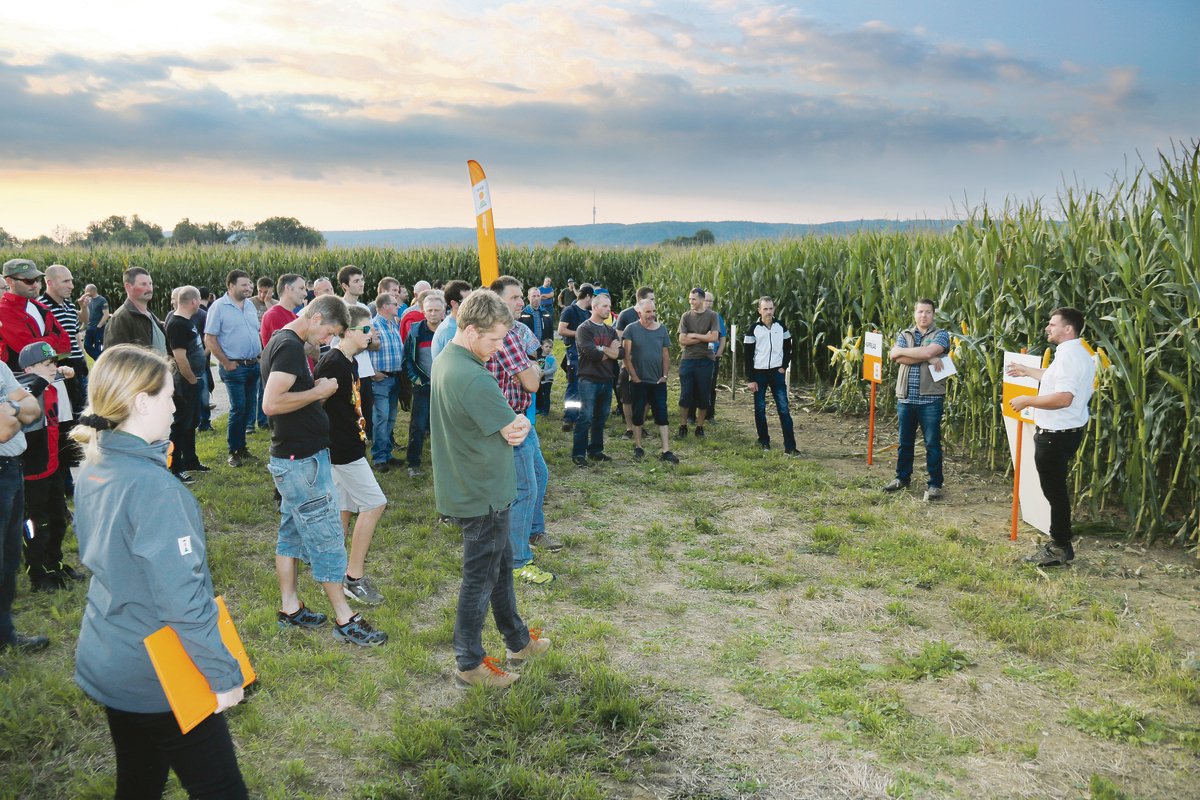 Beni Vogt, Berater von der Landi-Reba (vorne links) und Tobias Streckeisen, Berater KWS (vorne rechts), stellten neue und aktuelle Maissorten vor.(Bild Benildis Bentolila)