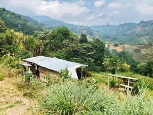 Ruhevolles Kraftschöpfen im «el lote». Hier möchte sich die Kolumbianerin Edith nach und nach ihre Finca aufbauen.