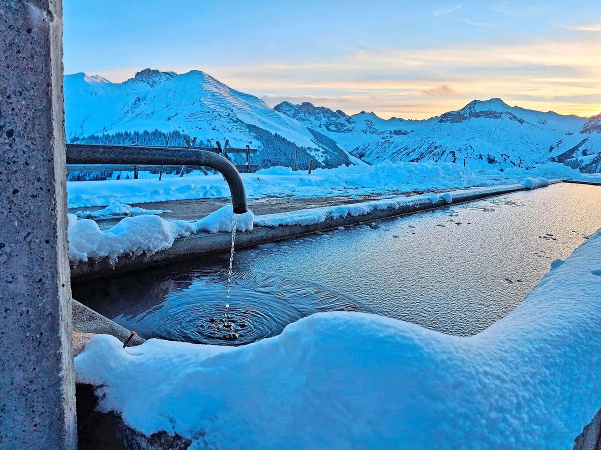 Nächtlicher Kälteeinbruch: Die Wasseroberfläche des Brunnens ist von einer Eisschicht bedeckt.