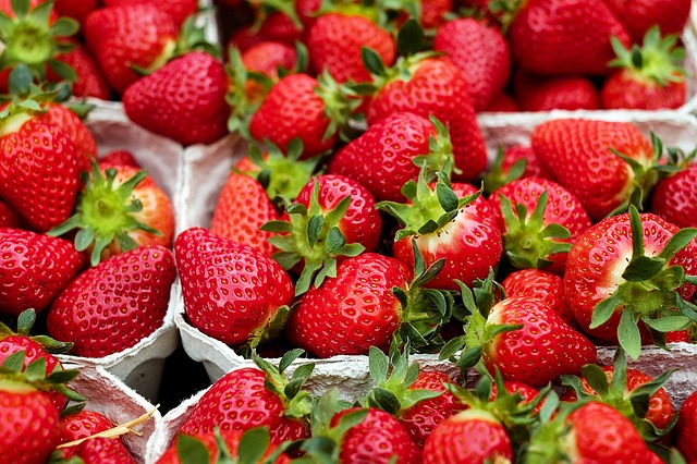 "Diese Beeren ess ich nicht", die Konsumenten wünschen sich schöne Beeren, wie Marc Wermelinger von Swisscofel erklärt. (Symbolbild Pixaby)