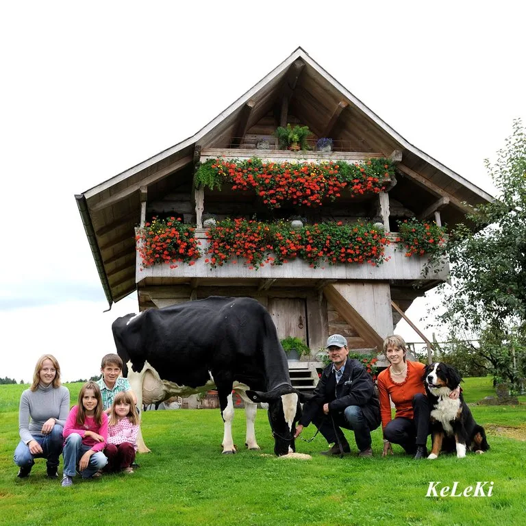 20688341ff3d87ebfaf428d81d921b1acbab3c48 Wyss Rudolph Haiti und ihre Familie Wyss. (Bild Holstein Switzerland/KeLeKi)