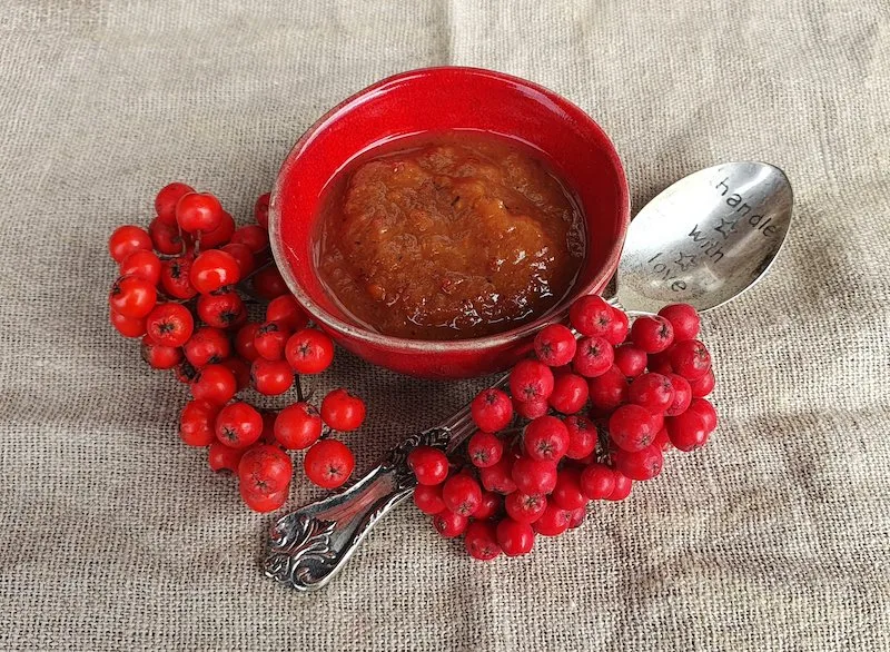1e25686673c19803dbe768bbb366dd043fde81e3 Gekocht sind Vogelbeeren problemlos essbar, z. B. als Mus. (Bild Marie-Isabelle Bill).