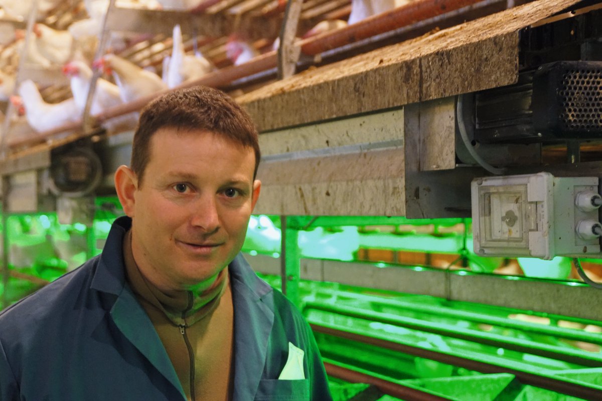 Hansjörg Goldinger im Legehennen-Stall. Hinter ihm ein Kotband-Lüfter. Bild: Michael Götz