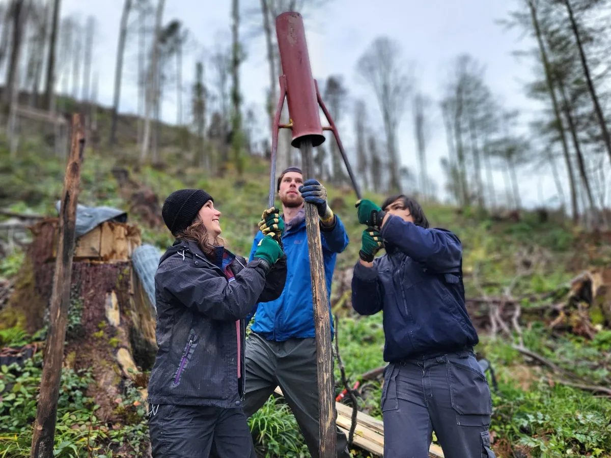 Pfahl_einschlagen-Bergwaldprojekt Gemeinsam für den Schutz und Erhalt von Wald und Kulturlandschaft in Berggebieten