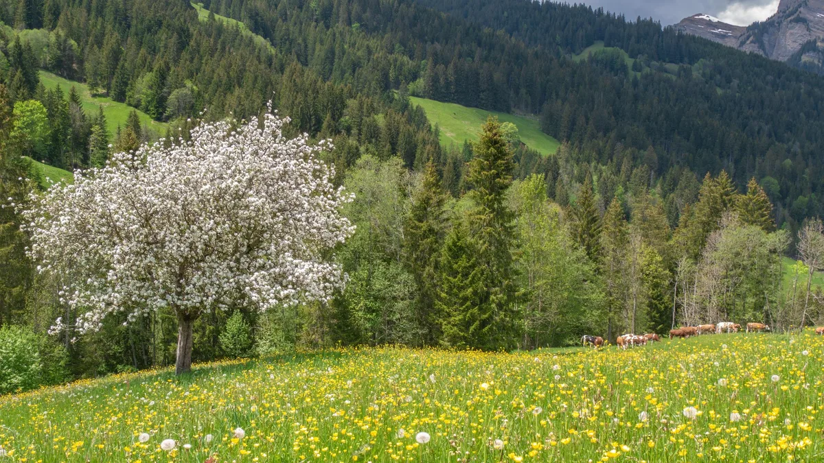 landschaft_christel Urek-N will 17 Prozent der Landesfläche für die Biodiversität und Rücksicht auf die Versorgungssicherheit