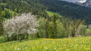 Die Urek-N will bei der Festlegung von Biodiversitätsgebieten auf die landwirtschaftliche Nutzung der Flächen Rücksicht nehmen.
