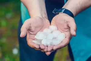 Hagel ist kein seltenes Bild mehr in der Schweiz. 2021 war ein Rekordjahr. Auch heuer führte Hagel gebietsweise zu grossen Schäden an Ackerkulturen.