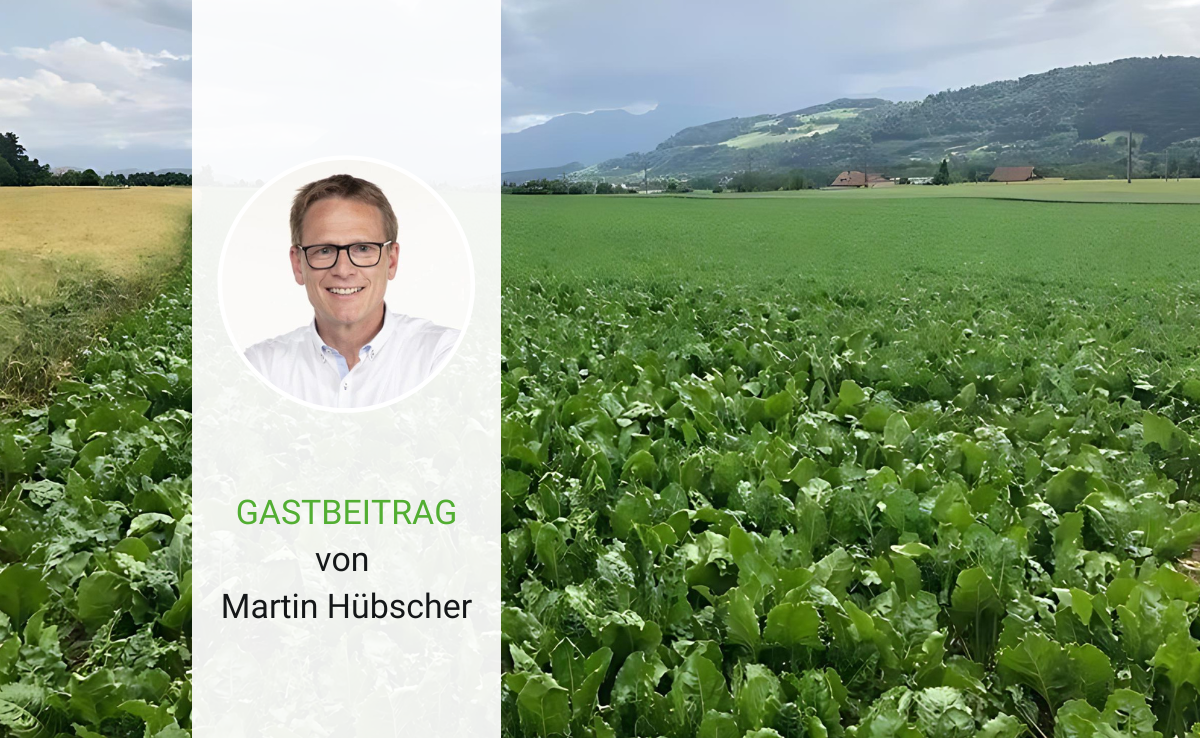 Die zweite Jahreshälfte aus dem Ausland