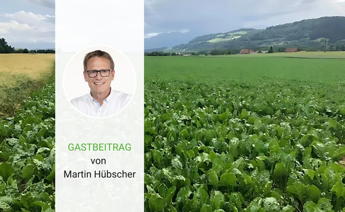 Artikel_Gastbeitrag_BauZ Die zweite Jahreshälfte aus dem Ausland