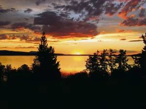 Der herrliche Sonnenuntergang über dem Ootsa Lake macht die schlechte Ernte teilweise wieder gut. Der Sommer kam doch noch und bescherte der Familie frische Pflanzen aus dem Wald.