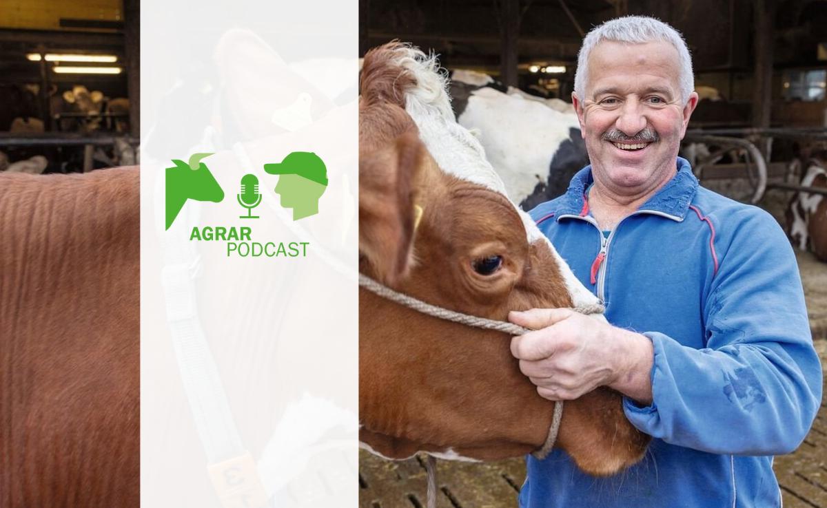 «AgrarPodcast» Episode 15: Über die Massentierhaltungs-Initiative, einen Hof und ein Pferd mit Eigenwillen
