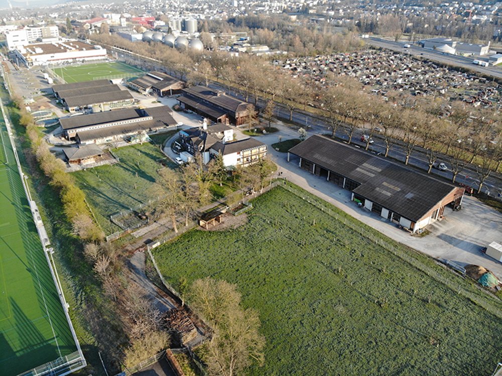 Insgesamt sollen bereits 80 Prozent der städtischen Landwirtschaftsflächen biologisch bewirtschaftet werden. (Bild stadt-zuerich.ch)