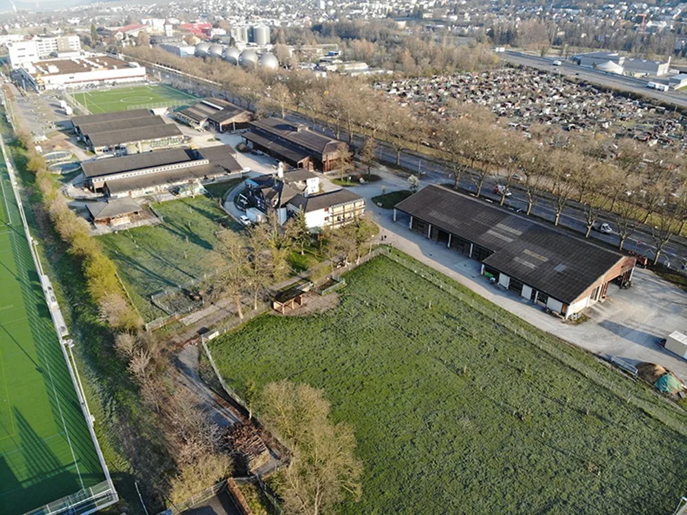 98e134ea4856d46efc43bea9605ffdd7bec1545b Insgesamt sollen bereits 80 Prozent der städtischen Landwirtschaftsflächen biologisch bewirtschaftet werden. (Bild stadt-zuerich.ch)