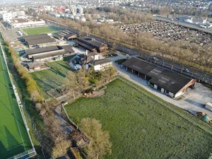 Insgesamt sollen bereits 80 Prozent der städtischen Landwirtschaftsflächen biologisch bewirtschaftet werden. (Bild stadt-zuerich.ch)