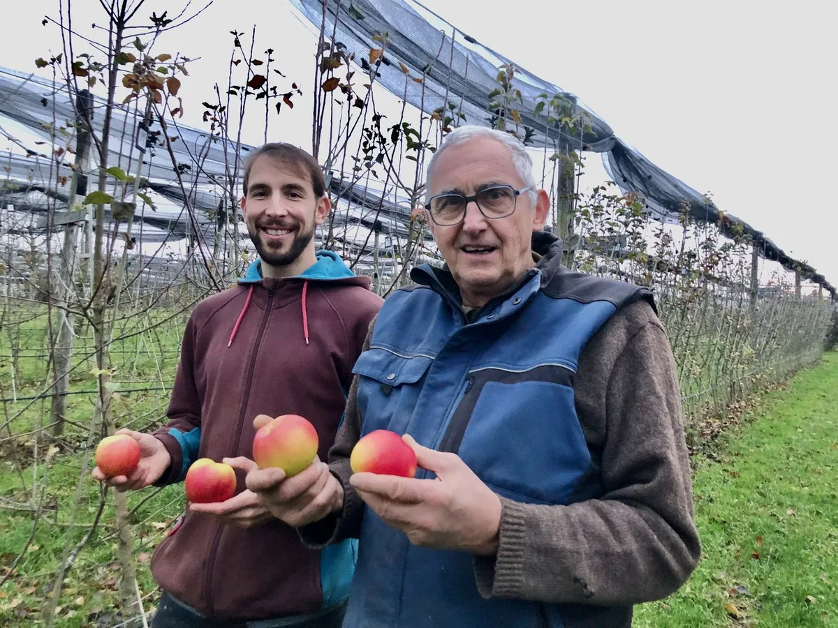 Die Zucht von Bio-Apfelsorten ist eine Herausforderung