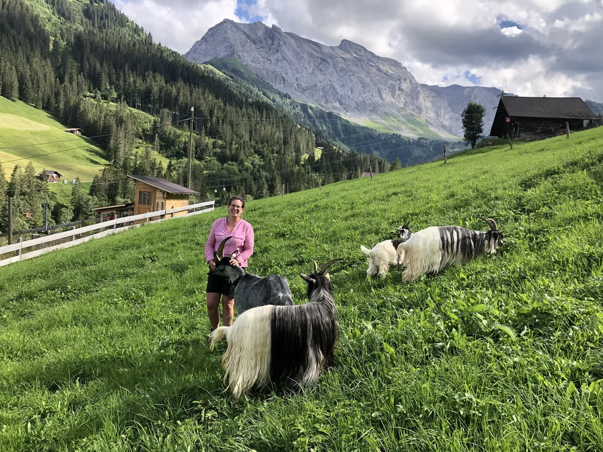 be9511a291678ec8fa99d7dca1978e61ab72048d Sabina Bircher ist die Präsidentin des neuen Vereins Capra Sempione, Grüenochte Geiss und Kupferhalsziege. Sie schwärmt von den behuften Landschaftspflegern und ist überzeugt, dass die vom Aussterben bedrohten Rassen vor allem in steilem Gelände einsetzbar sind. (Bild Sabina Bircher)