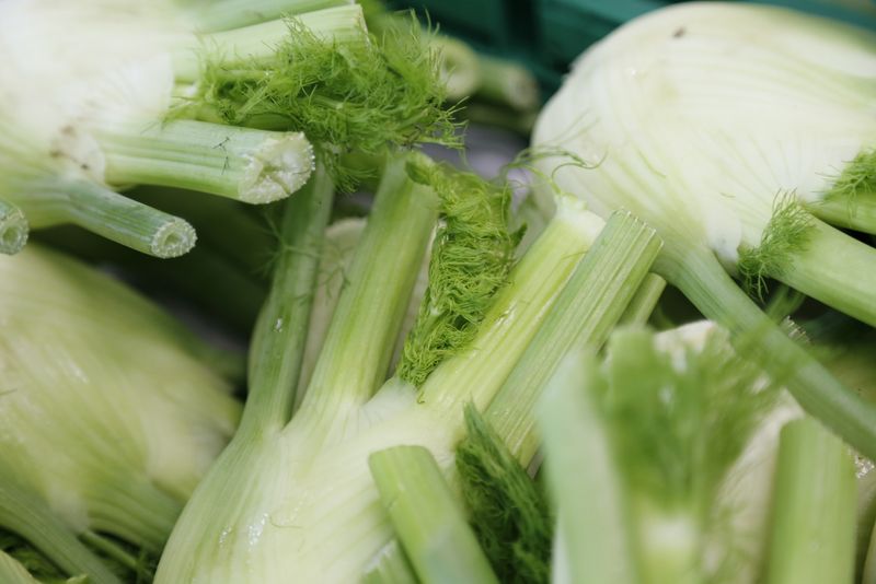 Die in Fenchel enthaltenen ätherischen Öle Anethol, Fenchon und Menthol wirken vor allem auf Magen und Darm sehr wohltuend. (Bild lid/ji)