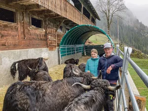 Philipp Wicki und Irene Mettler bei ihrer Yak-Herde. Die Umstellung fordert sie in vieler Hinsicht.