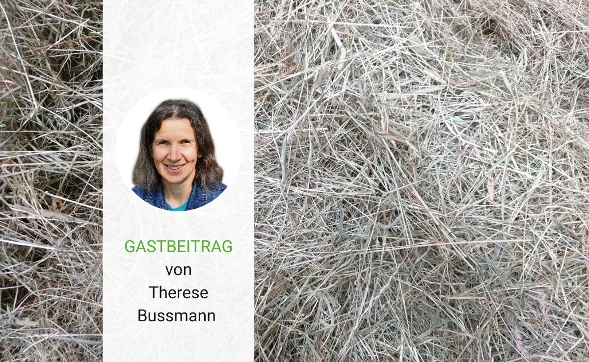 Heuen am steilen Hang ist manchmal ein Abenteuer