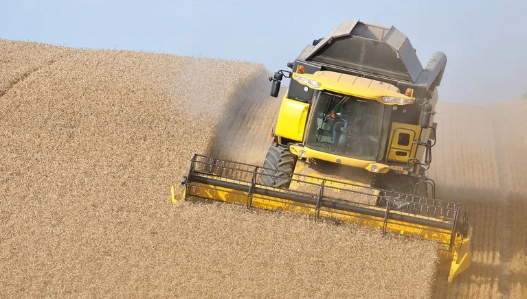59fe5dab71a9b85a0c25aaaf756fd281f3fa4a17 Vom Konsumentenfranken kommt immer weniger bei den Bauern an. (Cédric Péclard/landwirtschaft.ch)