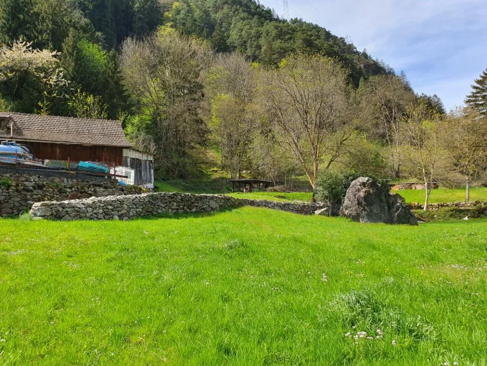 Sanierung von Trockenmauern im Gebiet Hinterwiler in der Gemeinde Erstfeld