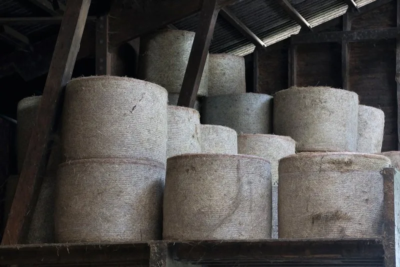 ec1df6af2e96bbc3c48ef2660a503a2862c19bce Auch beim Futtermittel ist der Import sensibel. (Bild zVg)