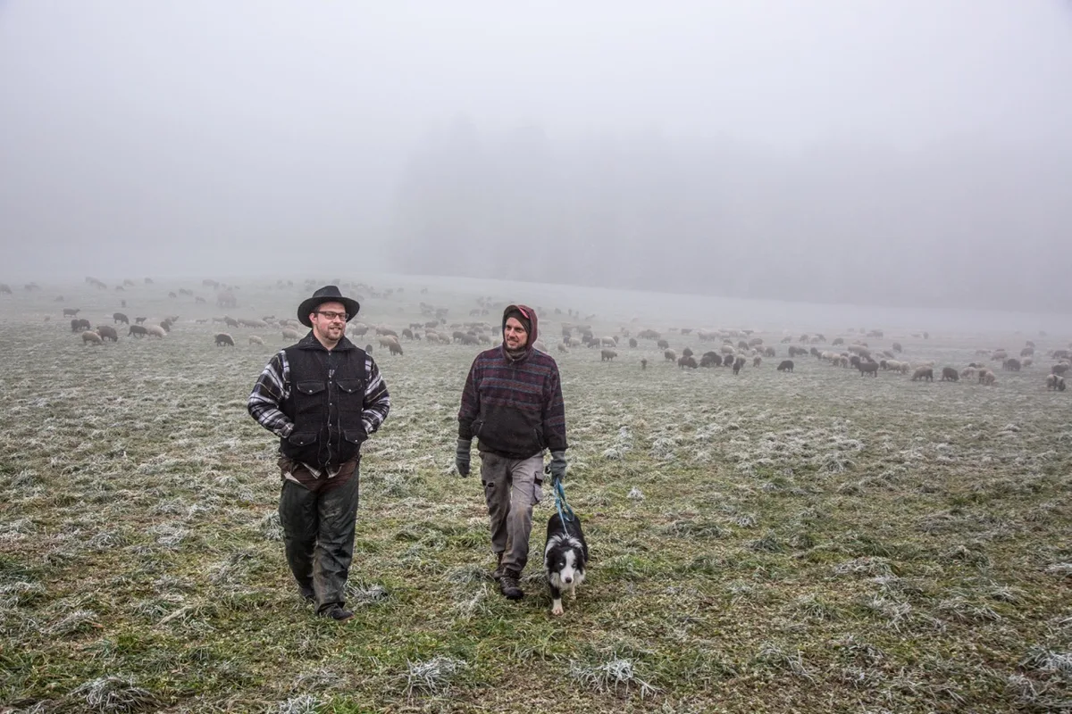 a6feffe7bd55e1a697c4c602cf1e95aca5d6e6b5 Wanderschäfer-Neuling Adrian Müller (l) und Hirte Rolf Thalmann (r) wandern heuer mit der grossen Wanderherde durch das Luzerner Mittelland. Bild: Pia Neuenschwander