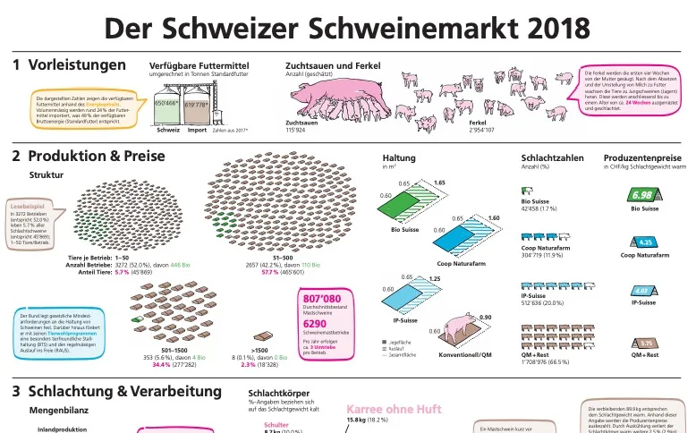 Die Infographik führt durch die vier Stufen Vorleistung, Produktion & Preise, Schlachtung & Verarbeitung sowie Detailhandel und Gastro-Grosshandel. (Bild Ausschnitt Infographik BLW)