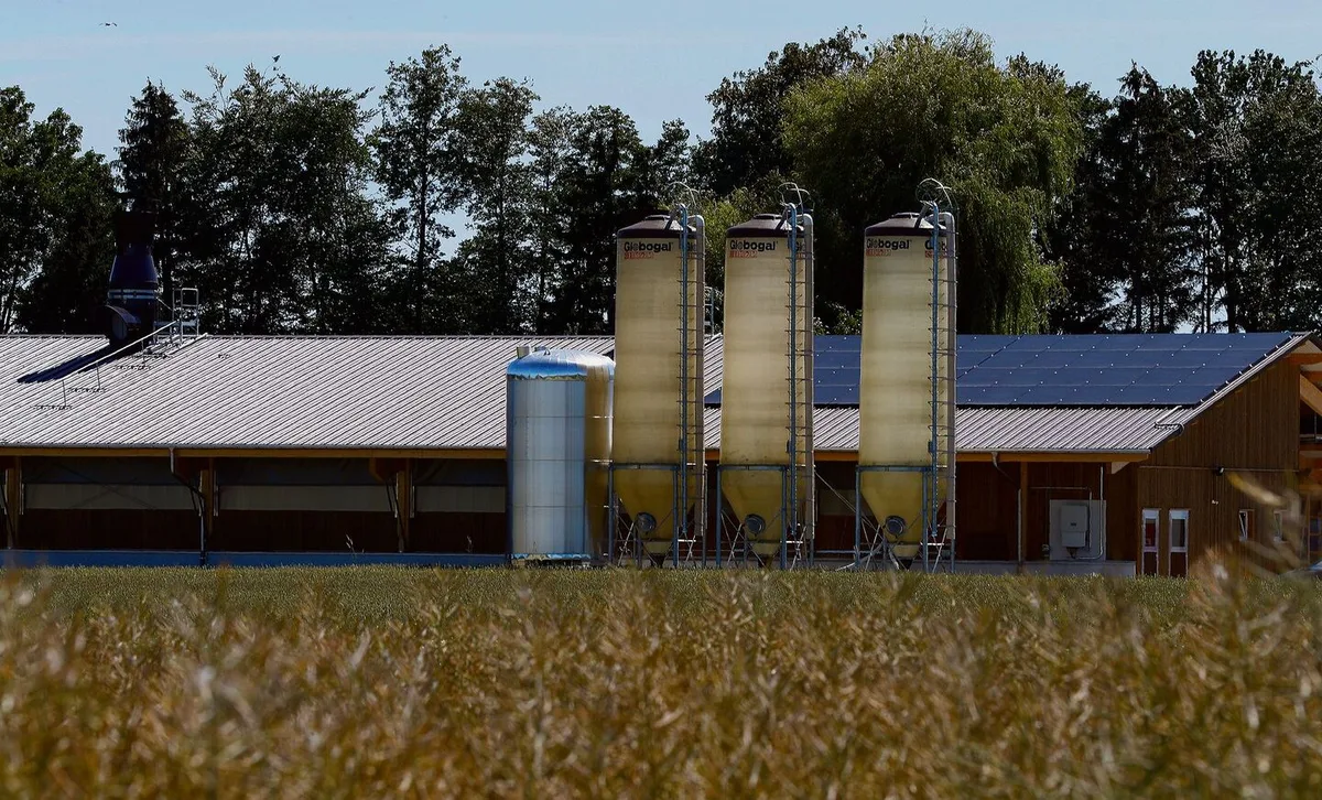 Wer eine Solaranlage auf seinen Stall bauen will, muss derzeit mit einer langen Wartefrist rechnen.