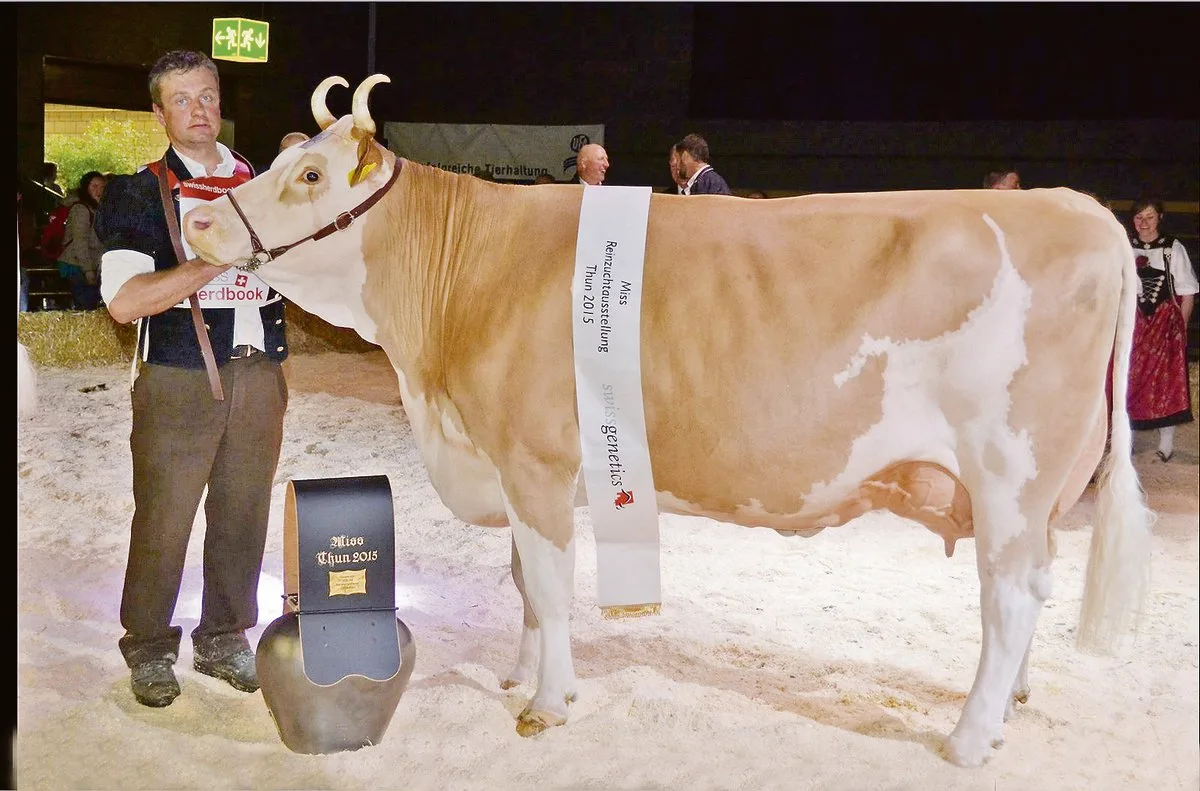 f7ca1dd2662ec2d6dc2c94ada773ac2a341e4234 Sie wurde Grand Champion an der Reinzuchtausstellung 2015 in Thun BE: Herzog Petra von Stephan und Jonathan Perreten aus der Lauenen BE.