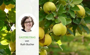 Ruth Bucher betreibt mit ihrem Mann in Buochs NW Milchwirtschaft und Schweinezucht in einer Betriebsgemeinschaft.