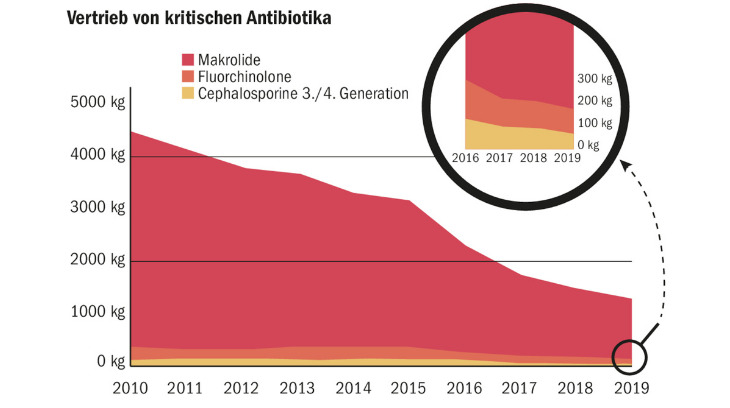 Diese Grafik zeigt, dass der Einsatz von kritischen Antibiotika in der Veterinärmedizin in den vergangenen zehn Jahren, bis 2019, deutlich abnahm. (Grafik BLV)