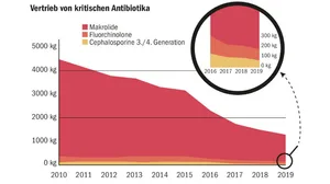 Diese Grafik zeigt, dass der Einsatz von kritischen Antibiotika in der Veterinärmedizin in den vergangenen zehn Jahren, bis 2019, deutlich abnahm. (Grafik BLV)