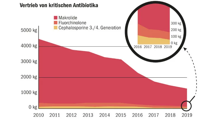 8636c6e84e4fa03f30bd77cd307b0e94ac0d2c26 Diese Grafik zeigt, dass der Einsatz von kritischen Antibiotika in der Veterinärmedizin in den vergangenen zehn Jahren, bis 2019, deutlich abnahm. (Grafik BLV)