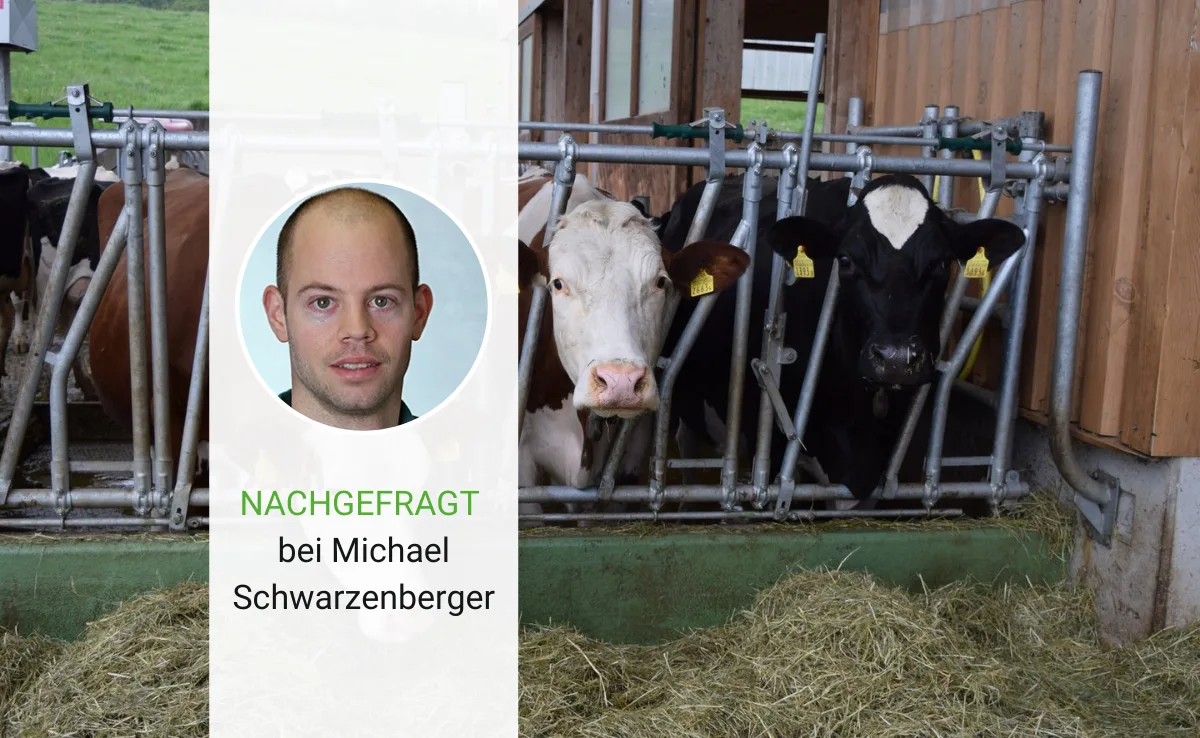 nachgefragt-schwarzenberger «Es ist ein bewusster Entscheid gegen die Mainstream-Meinung in der Viehzucht»