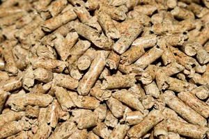 Dass die Nachfrage nach Holzpellets steigt, hat auch mit wachsendem Einsatz von Pelletsheizungen zu tun.