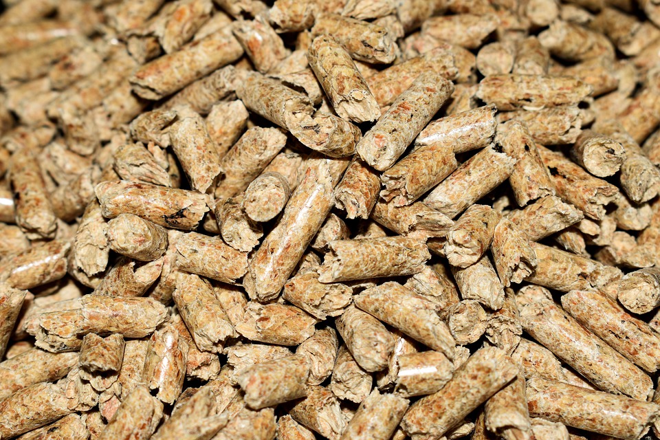 Holzpellets werden im kommenden Winter knapp