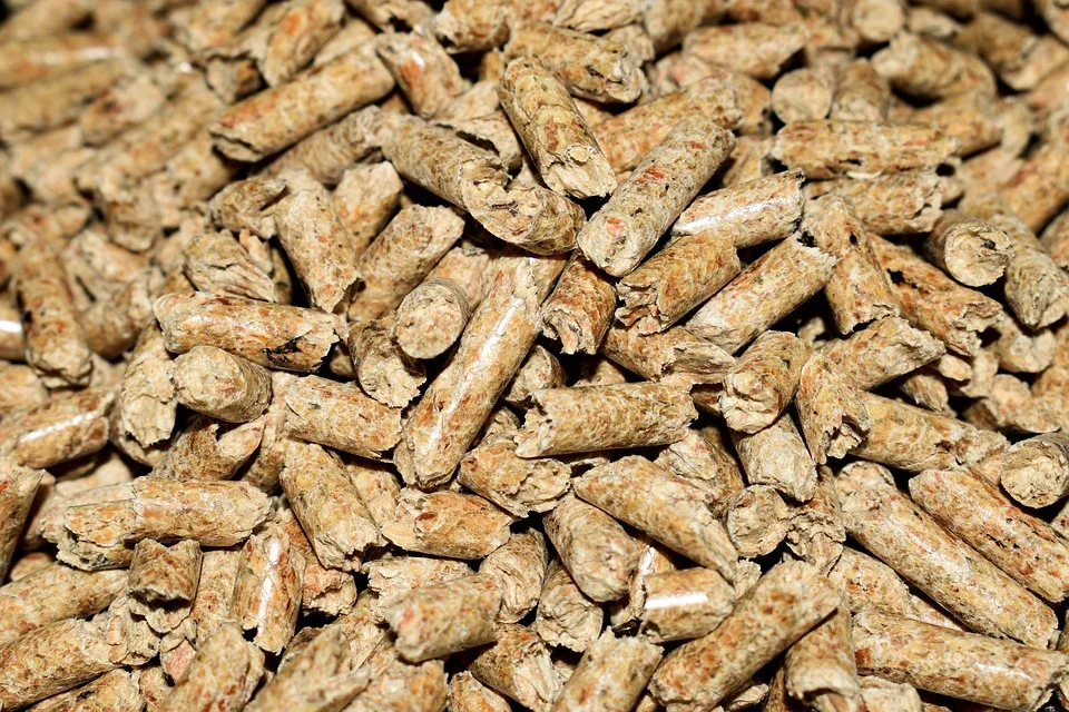 Holzpellets werden im kommenden Winter knapp