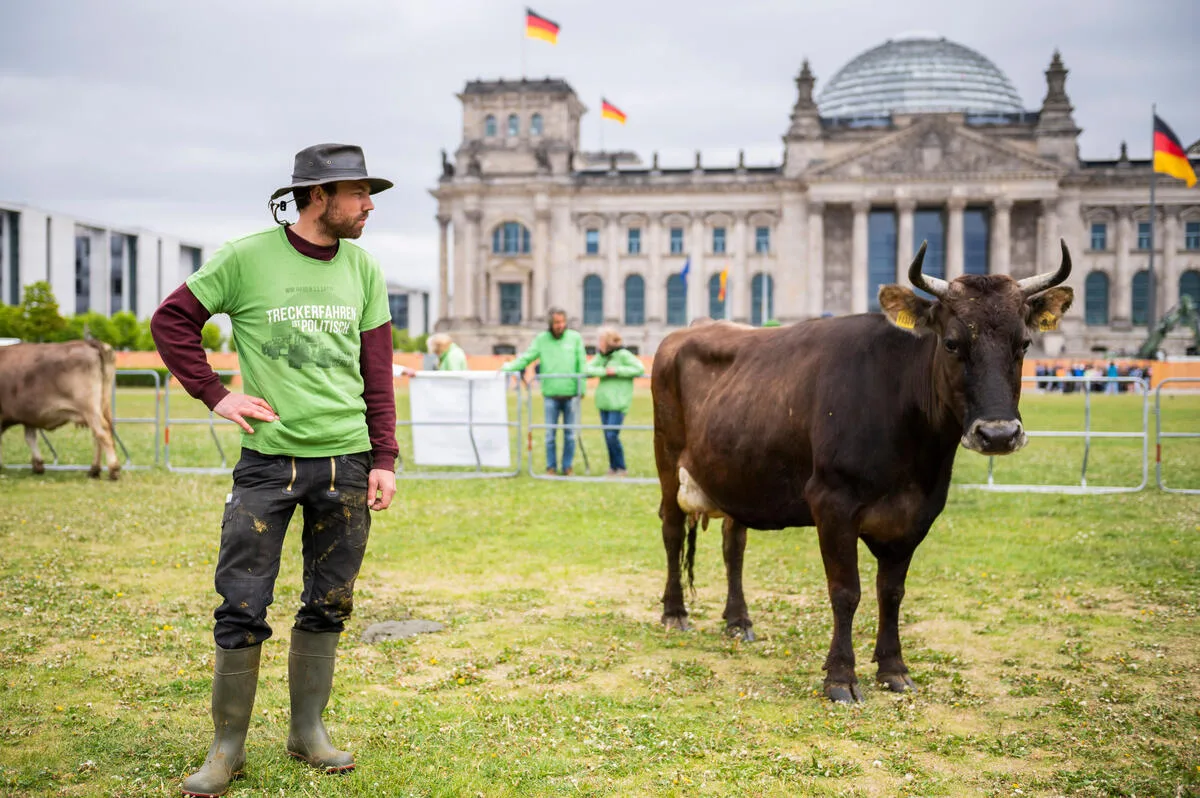 Warum eine Kuhherde vor dem Berliner Reichstag grast